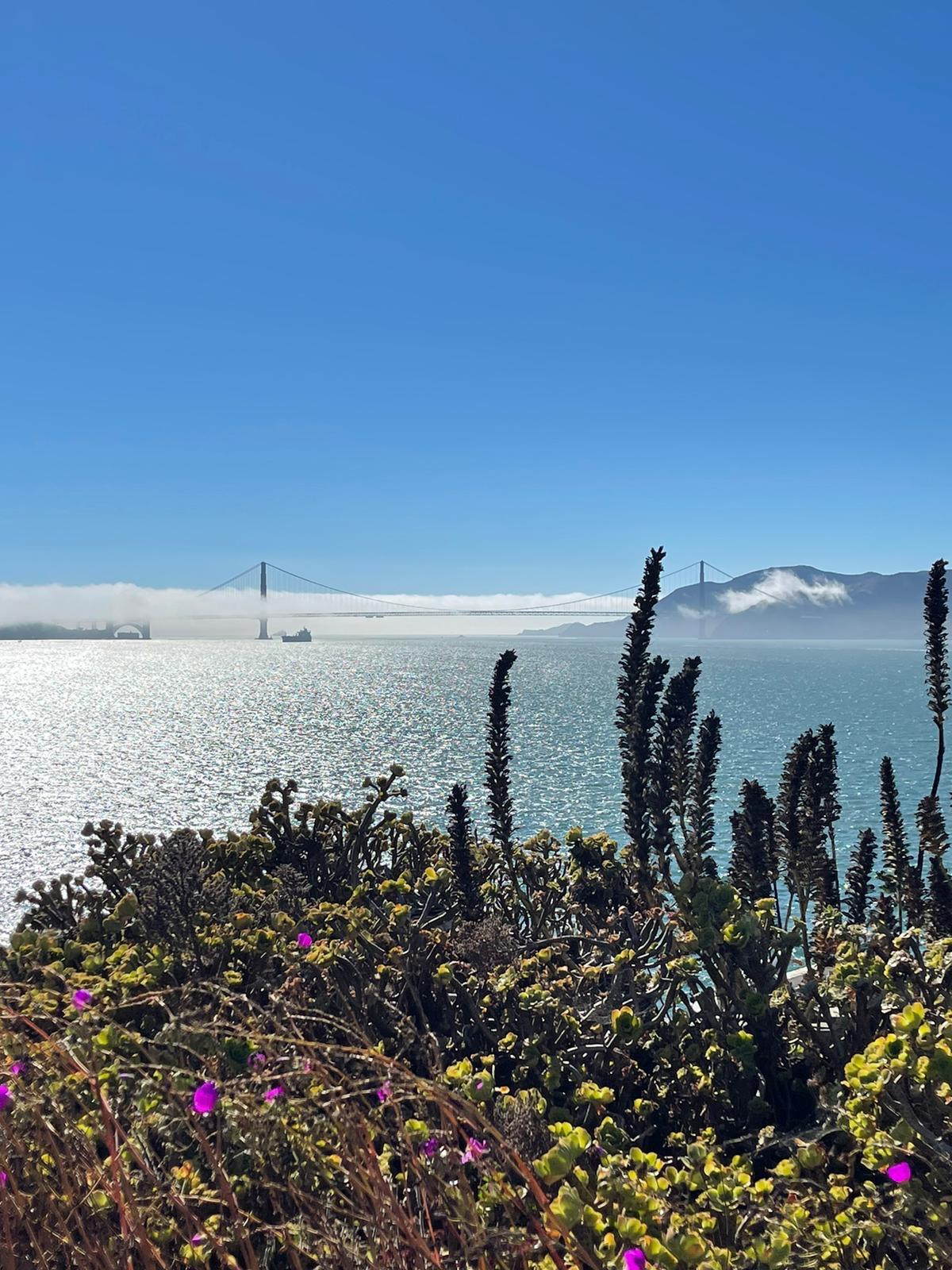 Op avontuur naar San Francisco